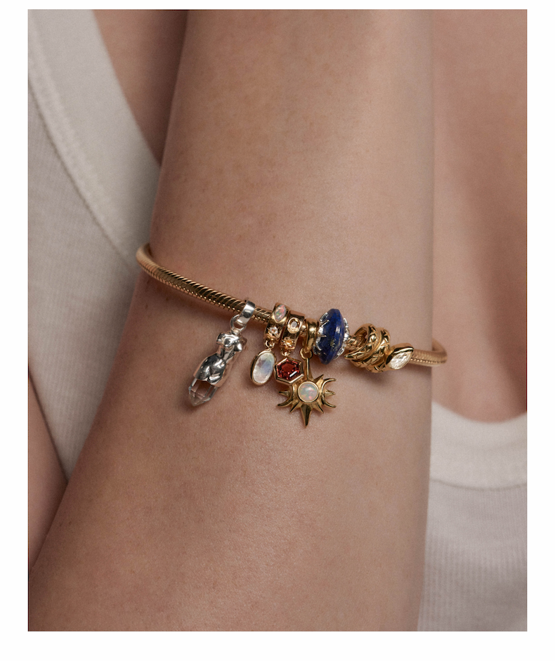 Snake Chain Collector Bracelet