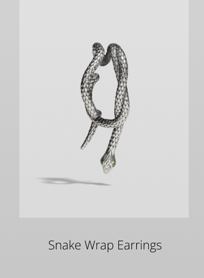 Snake Wrap Earrings