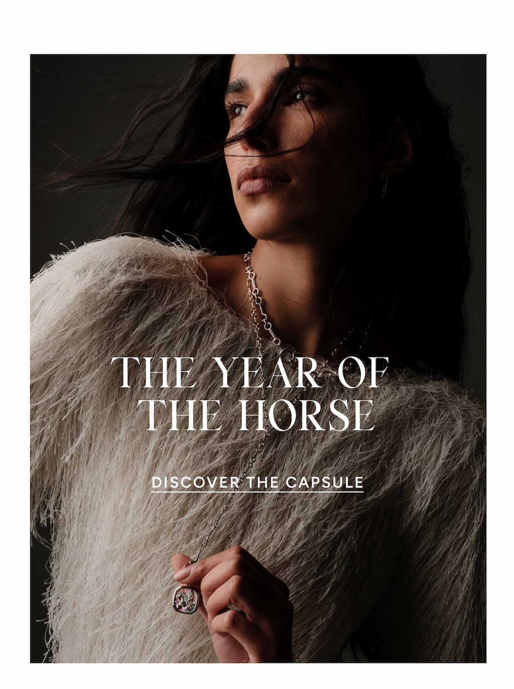 The Year Of The Horse