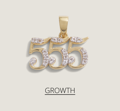 555 Angel Number - Growth