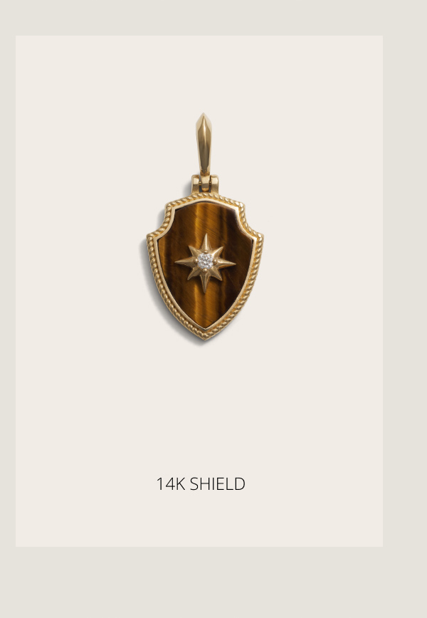 Tiger's Eye Shield Necklace