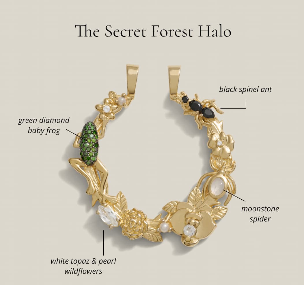 The Secret Forest Halo