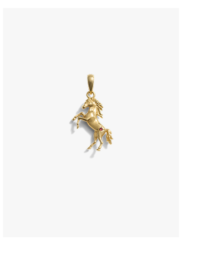 Stallion Amulet