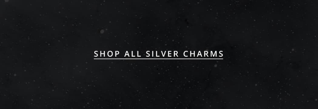 Shop All Silver Charms