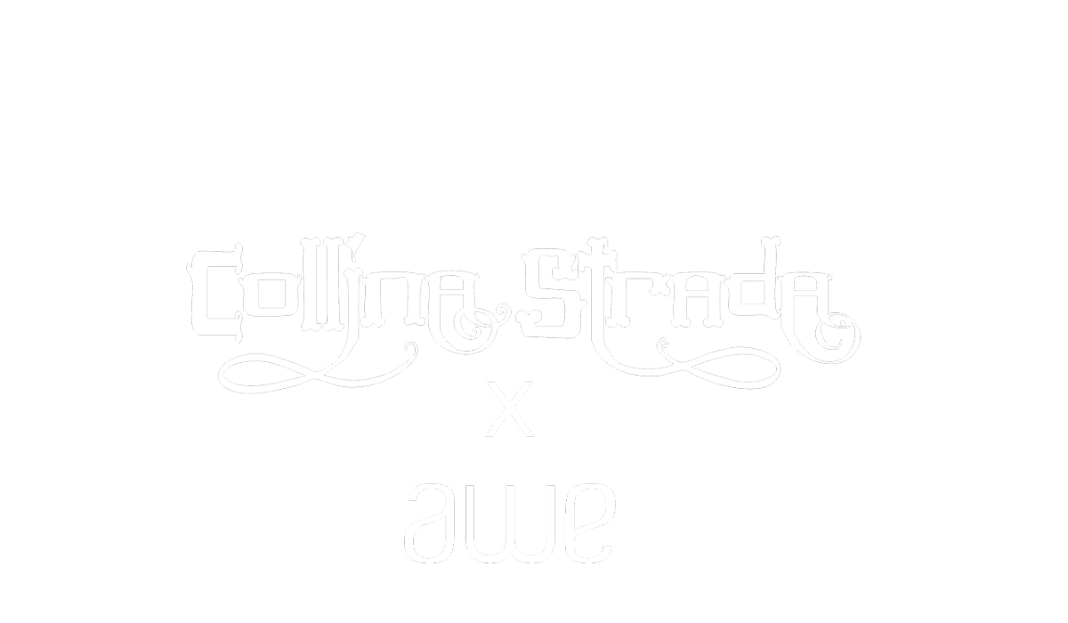 Collina Strada x Awe