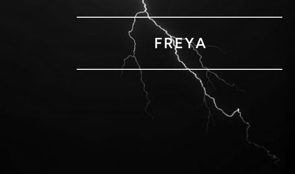 Special Edition Freya Necklace