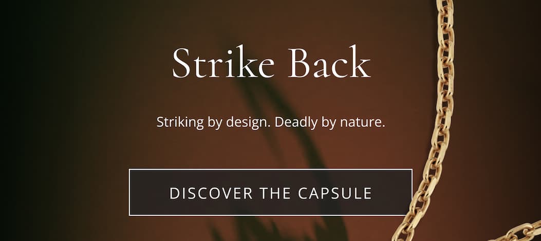 Light The Fire Within