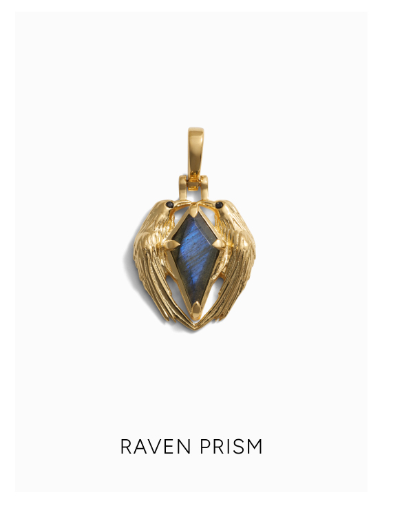 Raven Prism Amulet