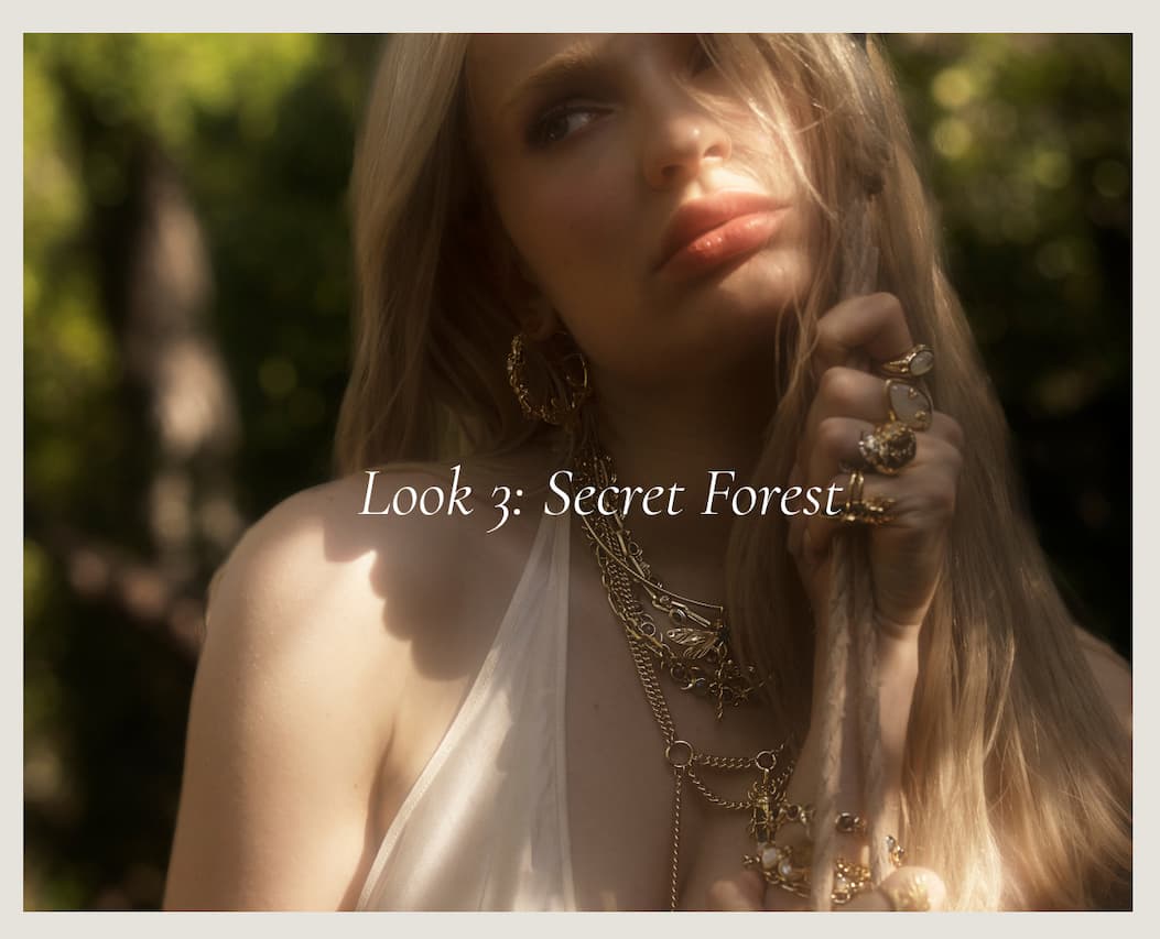 Look 3 Secret Forest