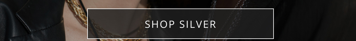 Shop Silver