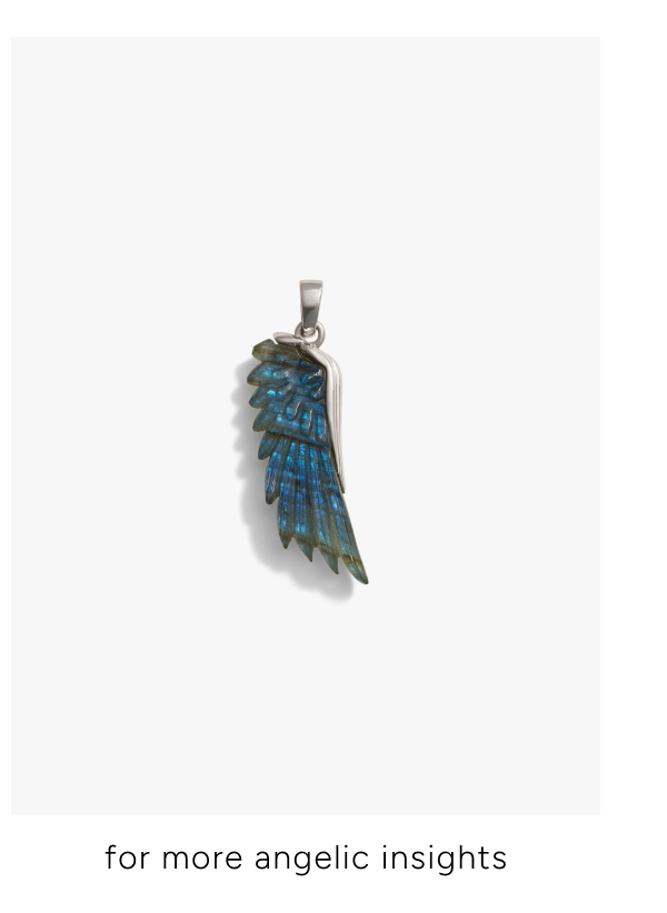 Carved Wing Amulet