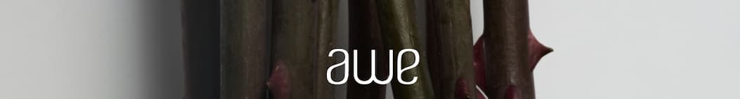 Awe Logo