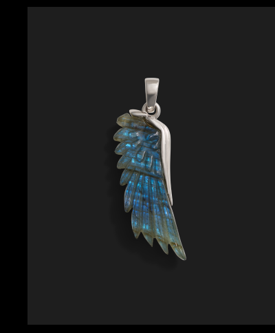 Carved Wing Amulet