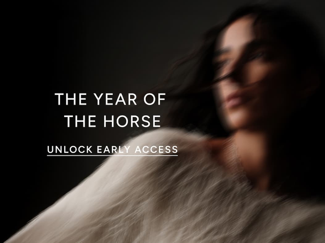 The Year Of The Horse