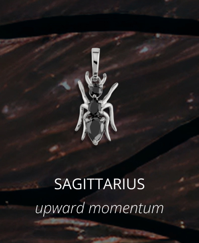 Sagittarius - Hematite Ant Necklace