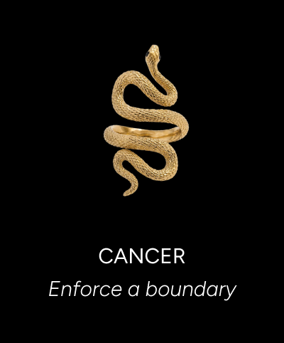 Snake Wrap Ring