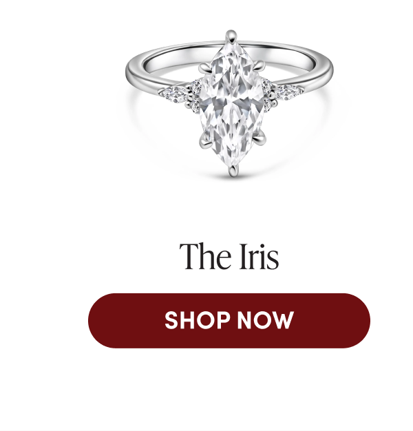 The Iris | SHOP NOW