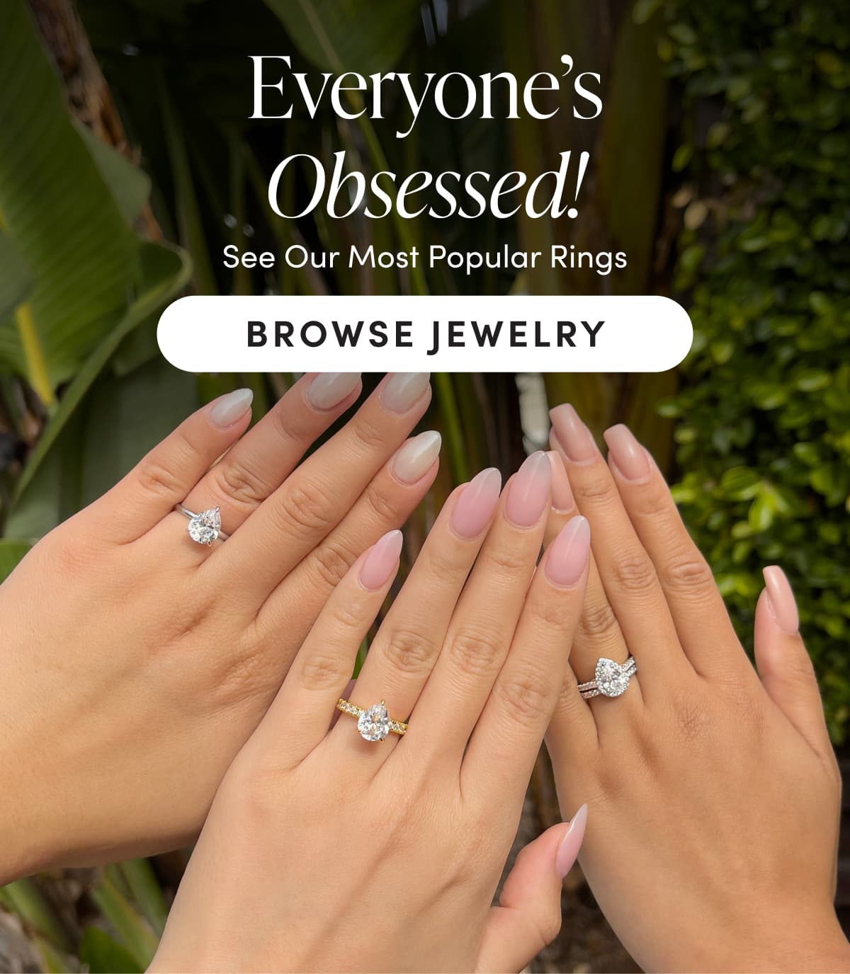 Everyone's Obsessed!