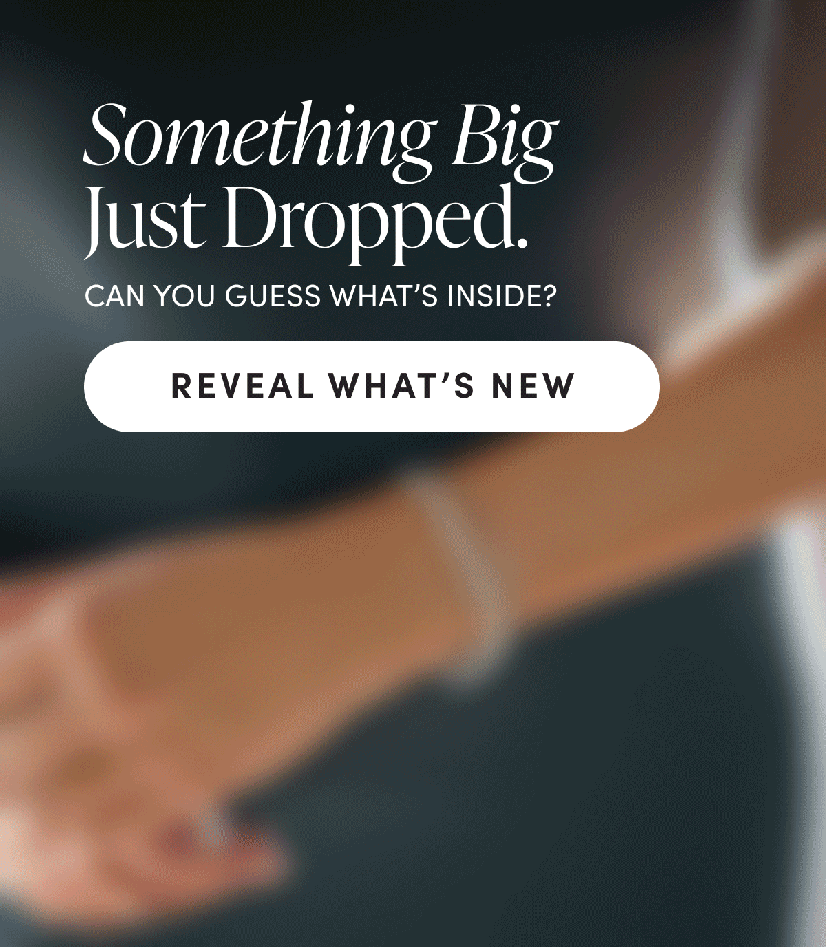 Something Big Just Dropped.  Can you guess what's inside? | Reveal what's new