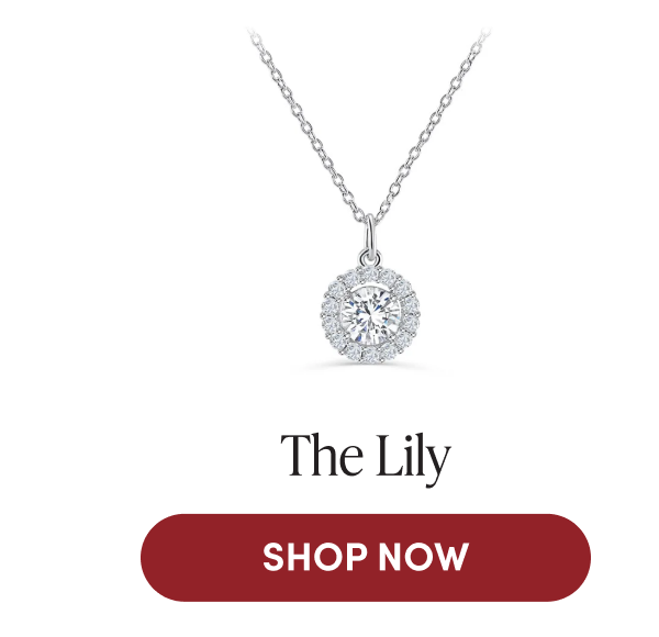 The Lily | SHOP NOW
