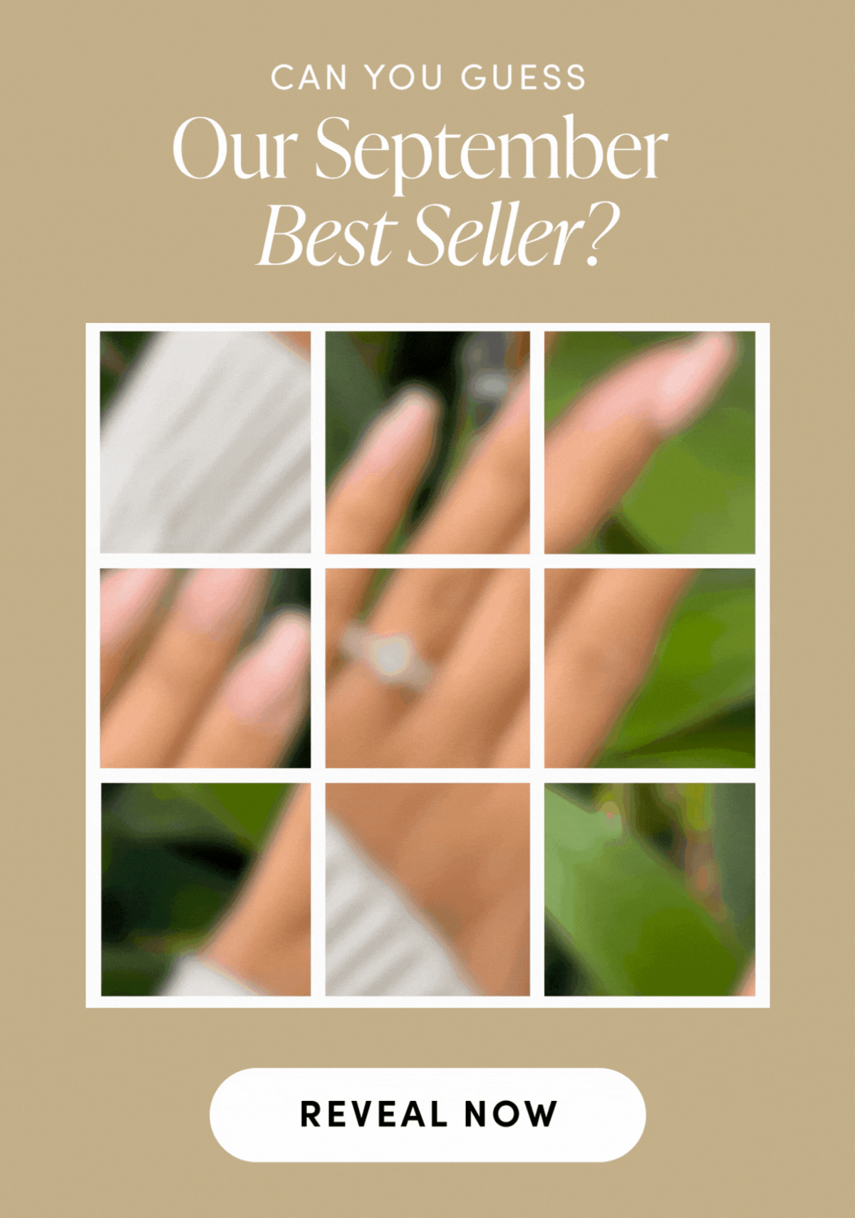 Can you Guess our September Best Seller?