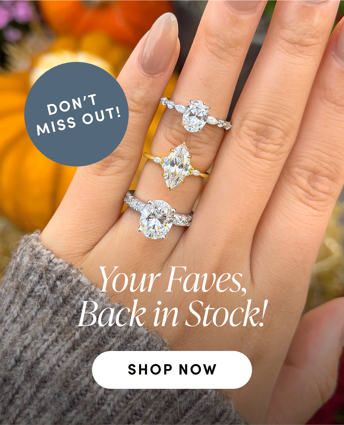 Your Faves, Back in Stock | SHOP NOW