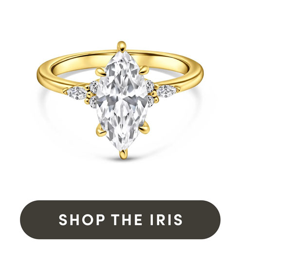 Shop The Iris.