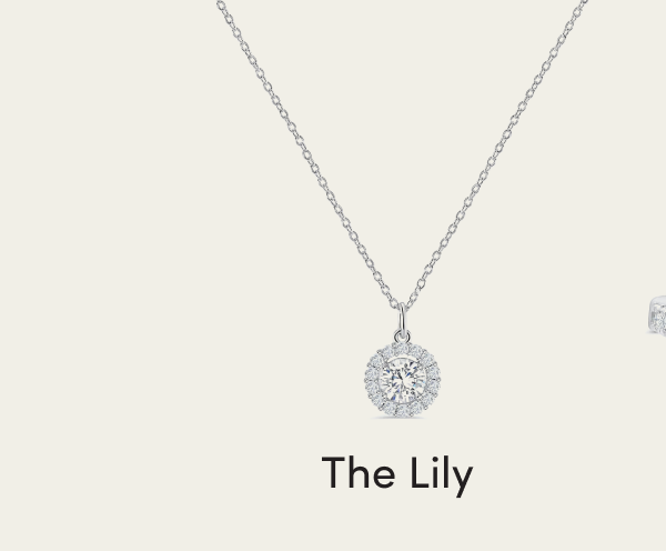 The Lily