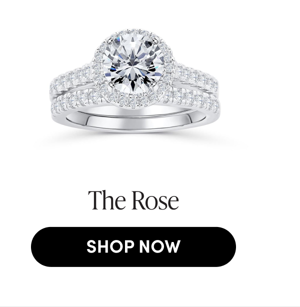 The Rose | SHOP NOW