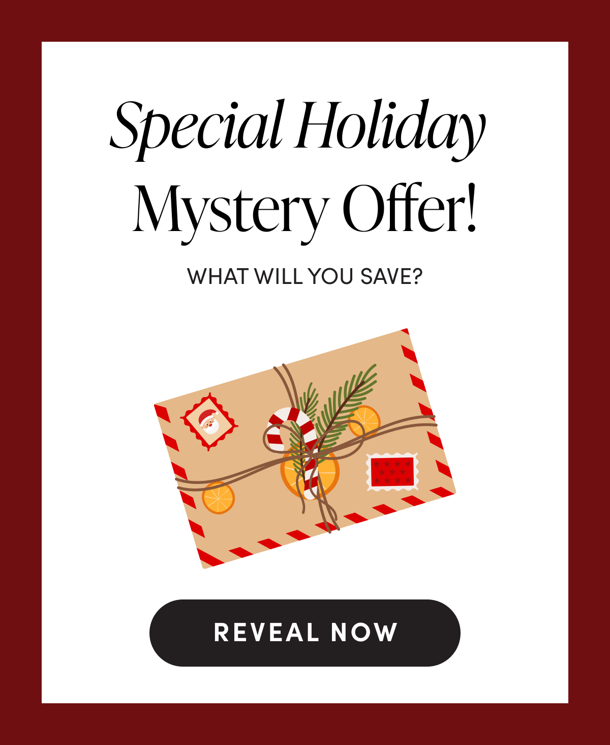 Special Holiday Mystery Offer! | REVEAL NOW