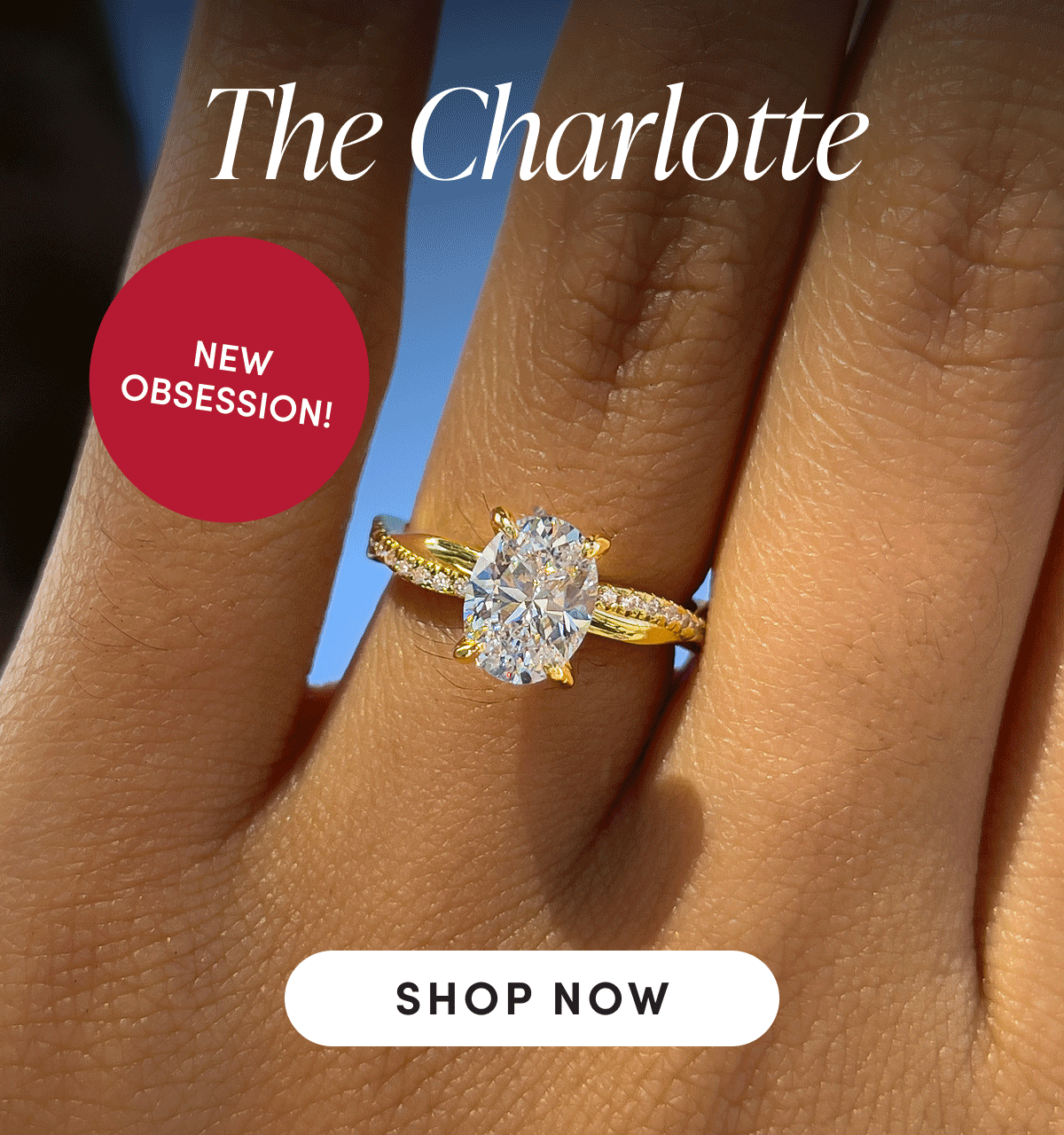 The Charlotte | SHOP NOW