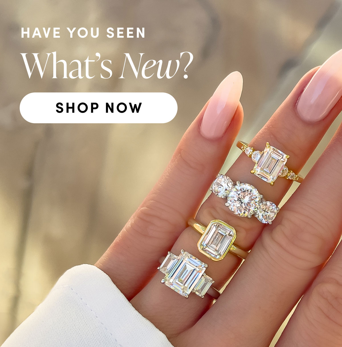 Have You Seen What's New? 