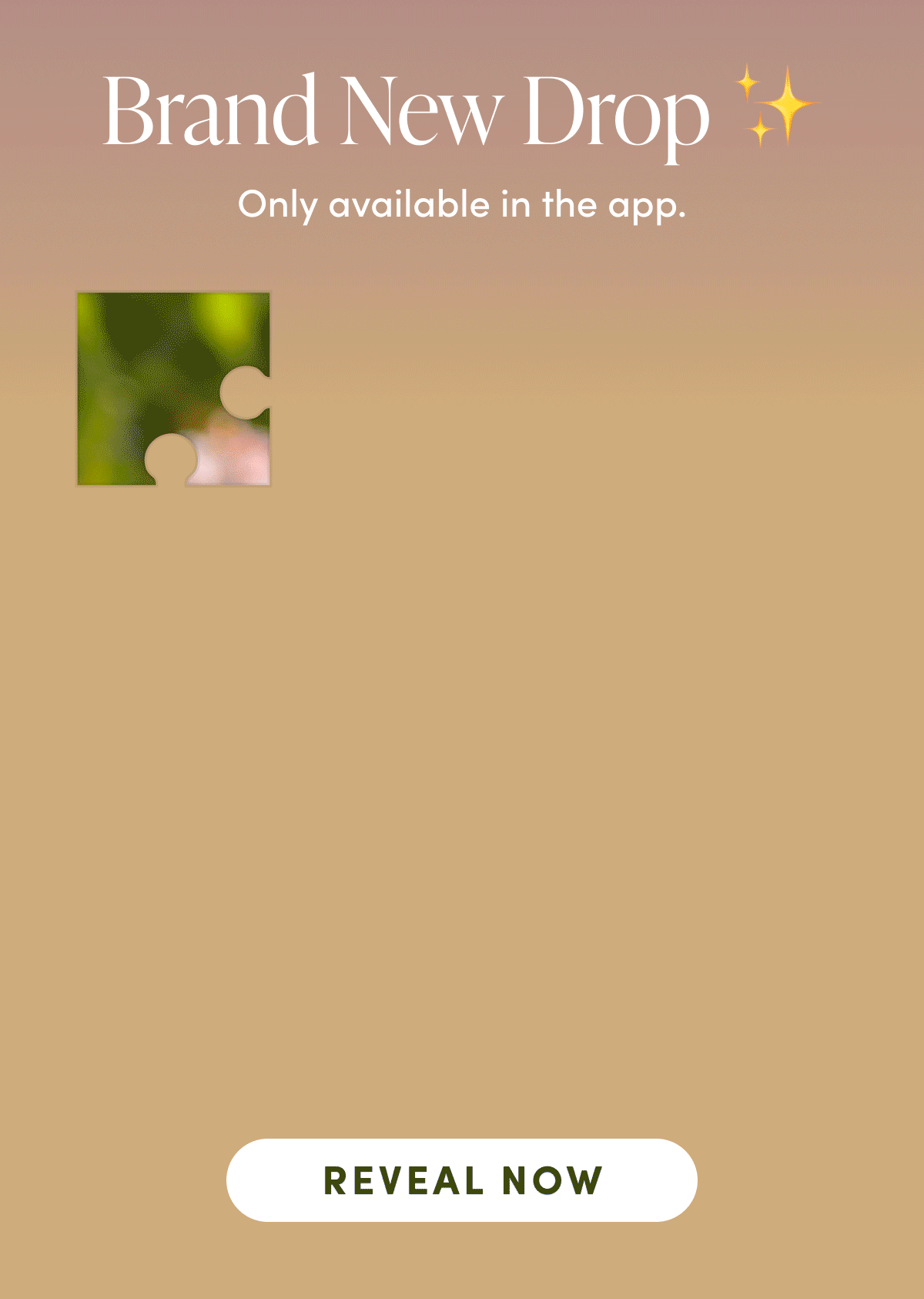 Brand New Drop | REVEAL NOW