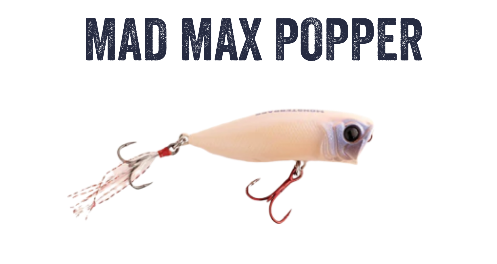 Ambassador Highlight Paul Glass Monsterbass