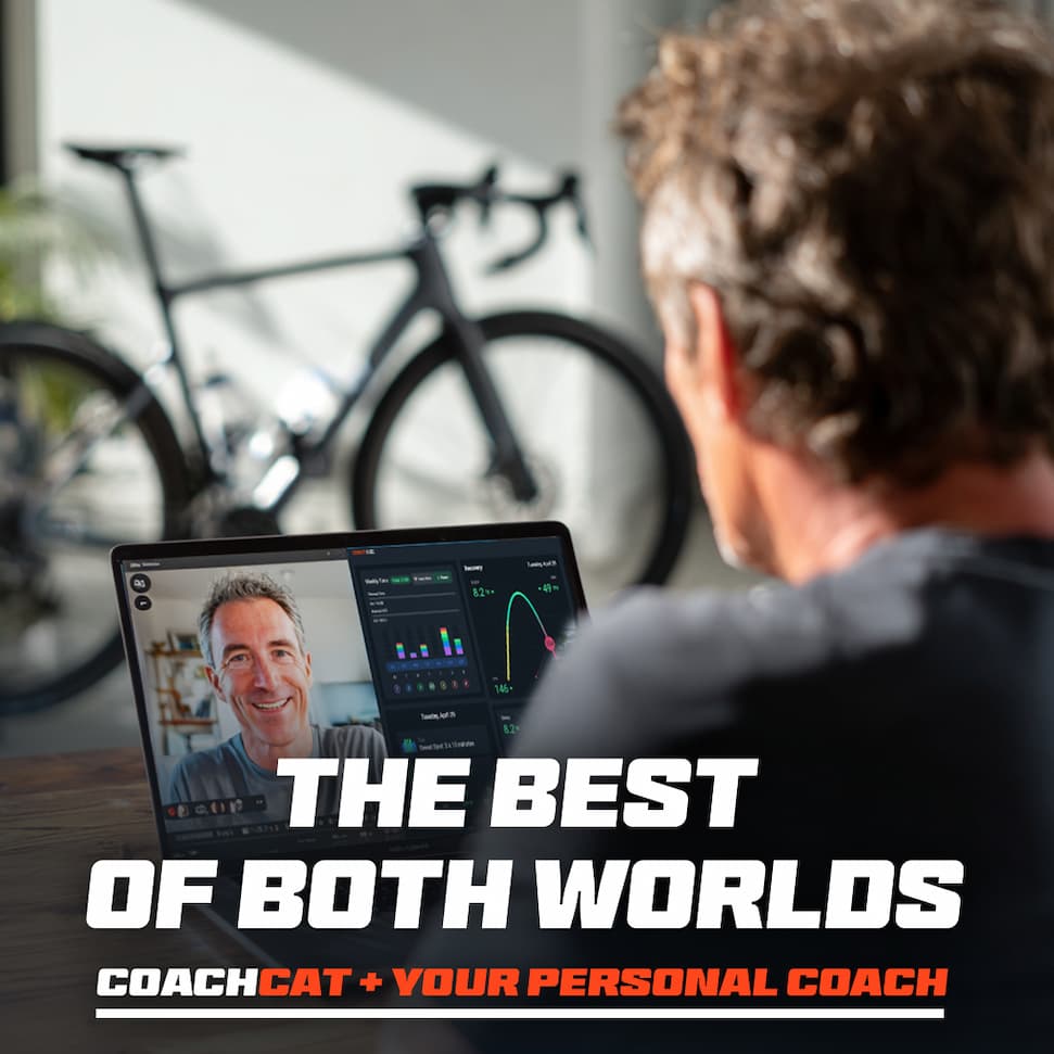 Graphic promoting CoachCat plus a FasCat personal coach. 