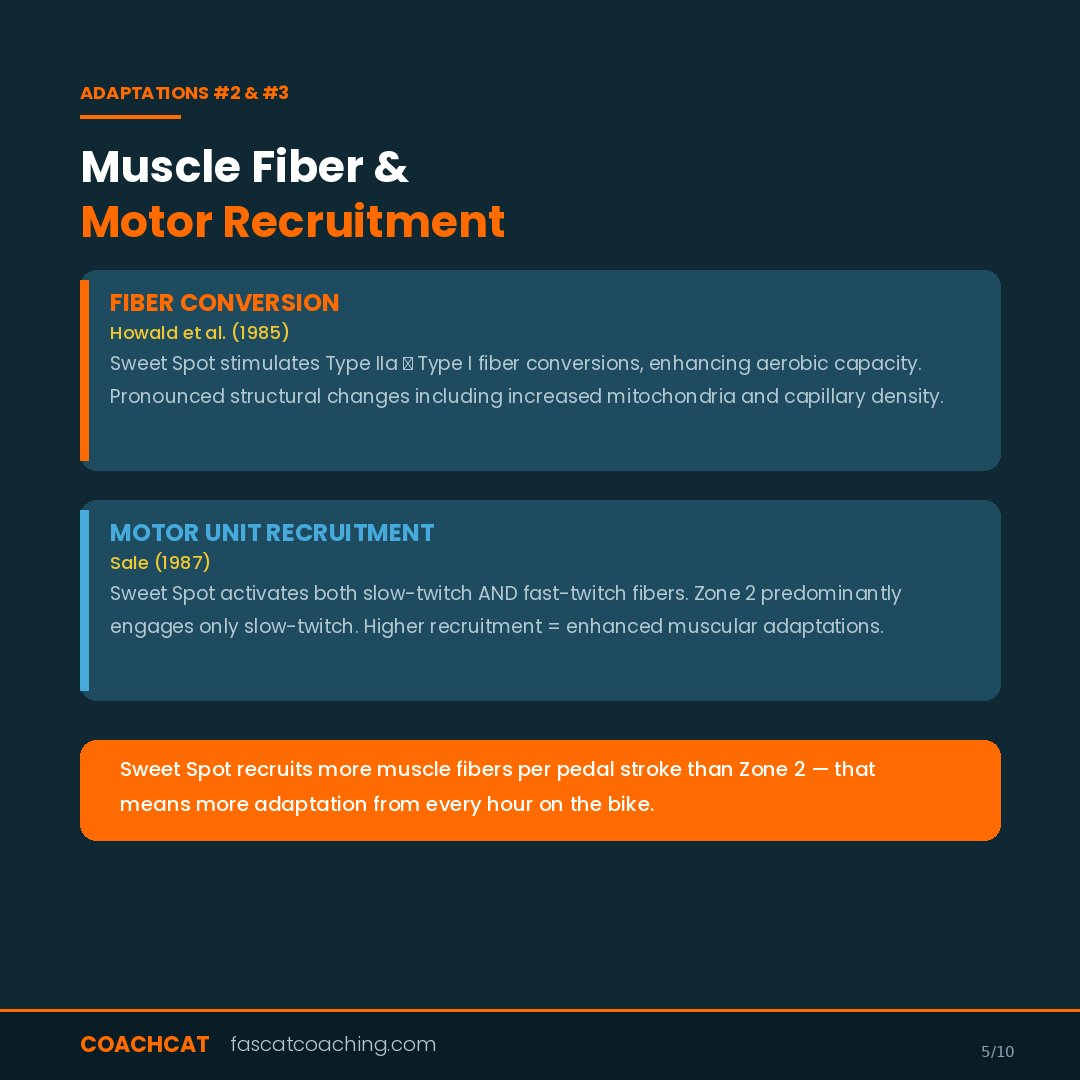 The science of sweet spot training. 