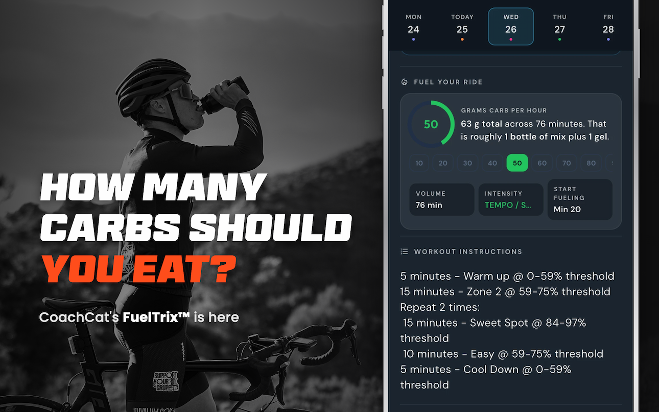 Graphic promoting our latest guide to fueling 