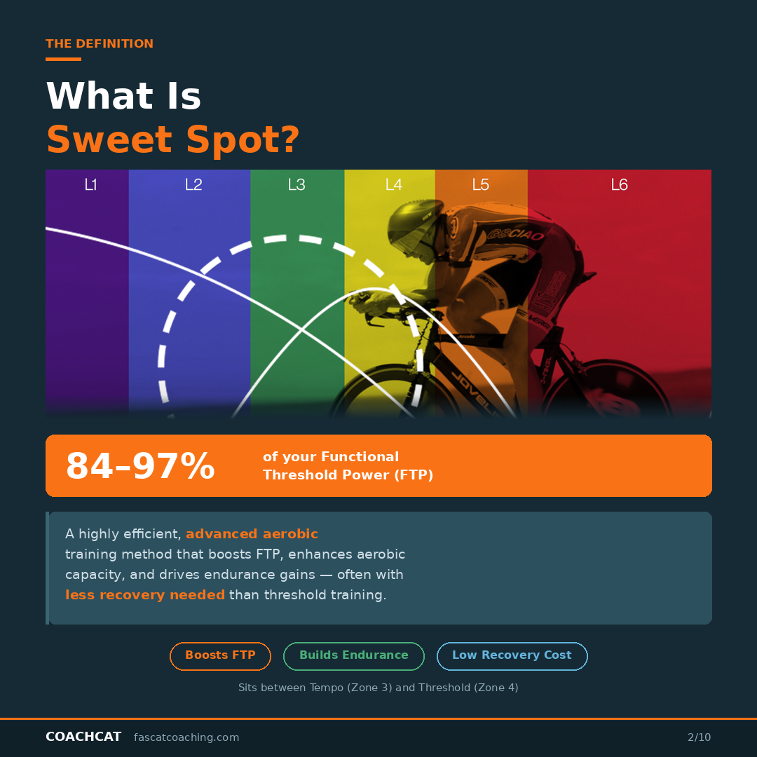 Promotional graphic for chance to sign up for a free 30-day trial of CoachCat. 