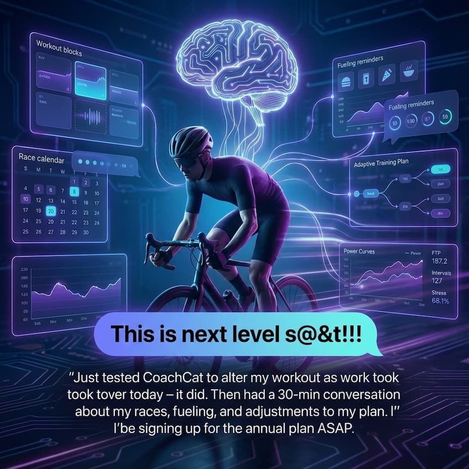 What's New With CoachCat's AI?