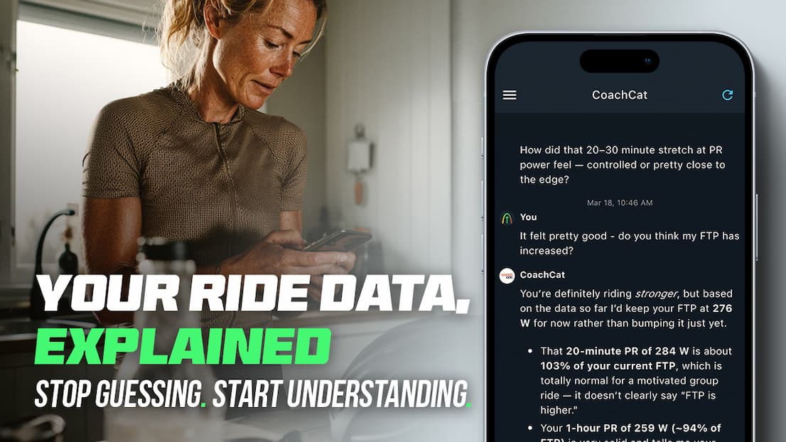 Graphic promoting CoachCat. 