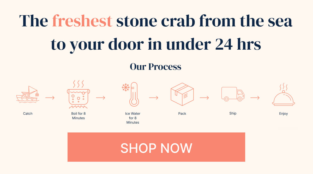 The Freshest Stone Crab - Sea to you in 24 Hours