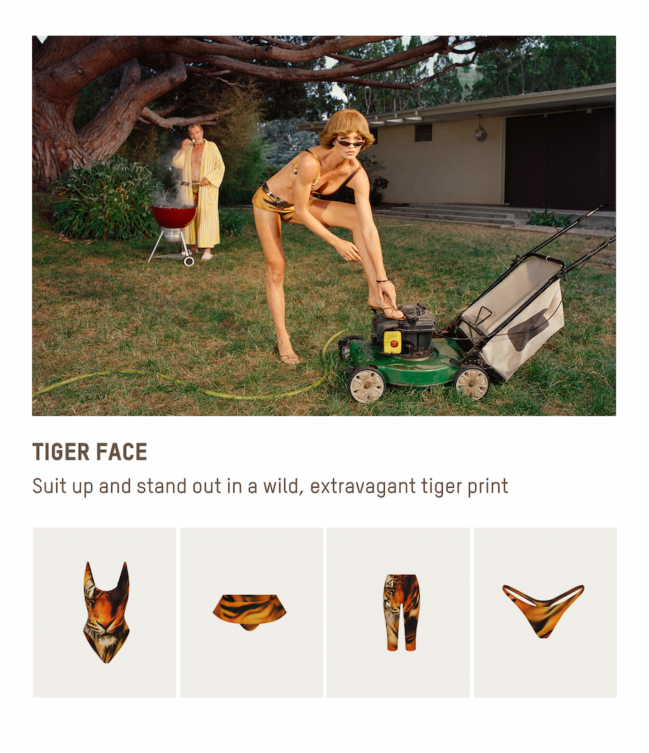 TIGER FACE