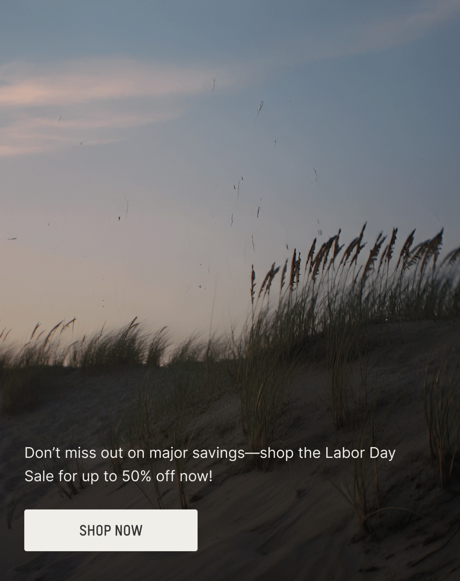 THE LABOR DAY SALE STARTS NOW