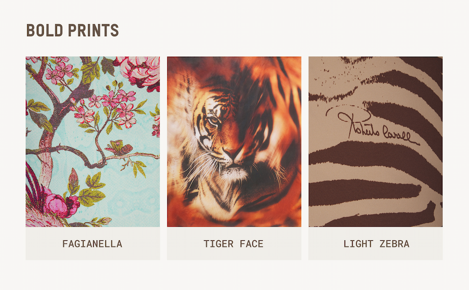 BOLD PRINTS