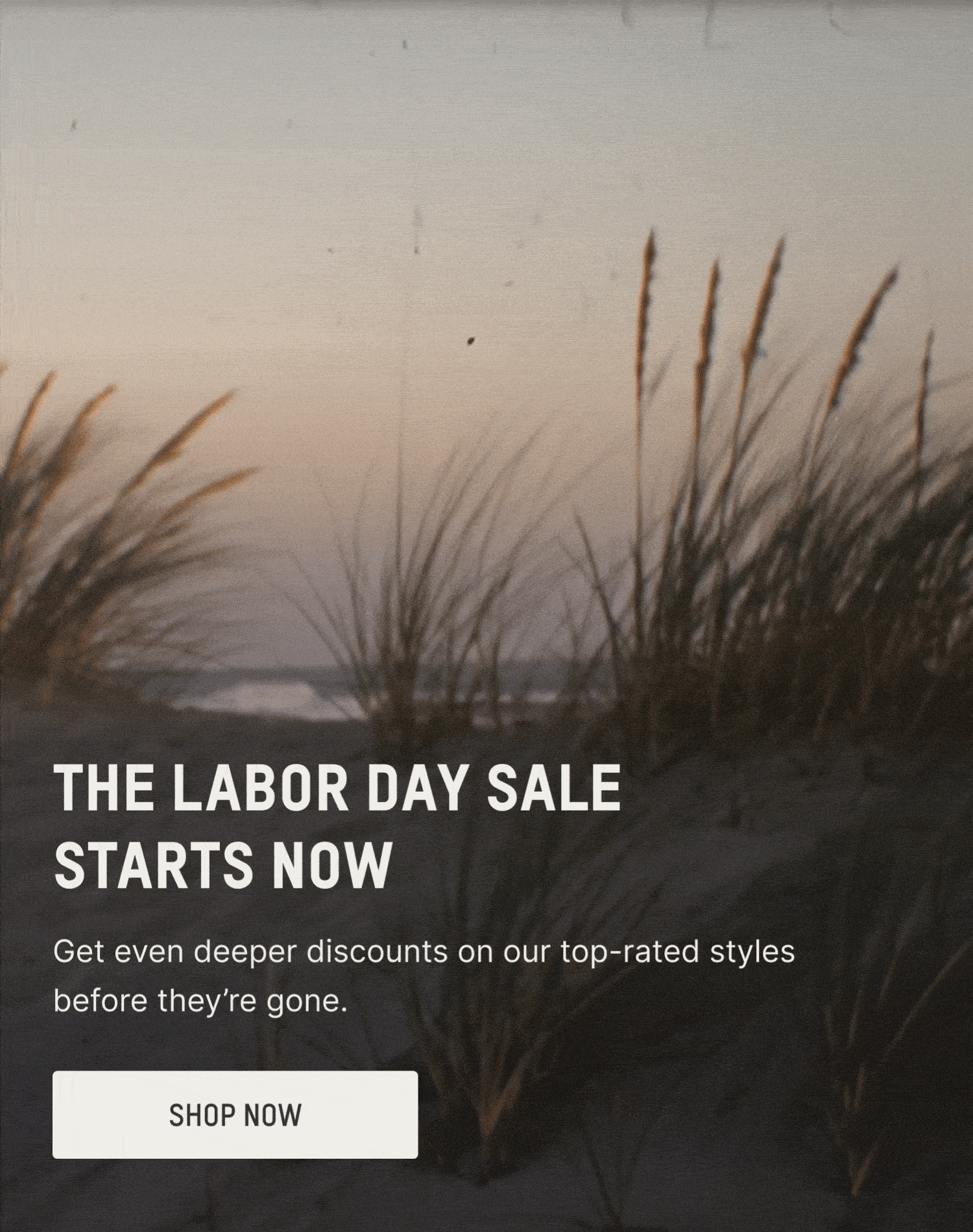 THE LABOR DAY SALE STARTS NOW