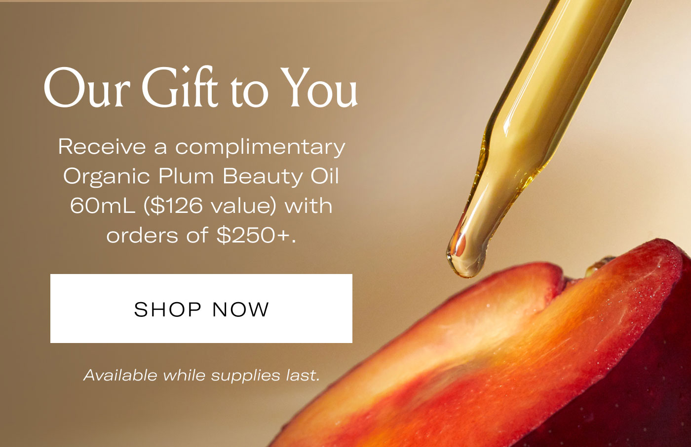 Our Gift to You  Receive a complimentary Organic Plum Beauty Oil 60mL ($126 value) with orders of $250+.  SHOP NOW  Available while supplies last.