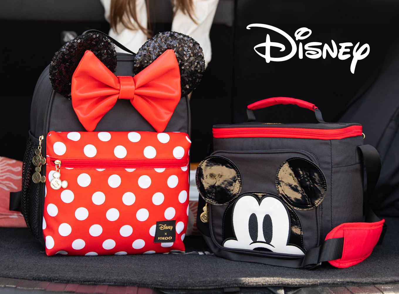 Disney Mickey & Minnie The stars of our new coolers!🤩 Igloo Coolers
