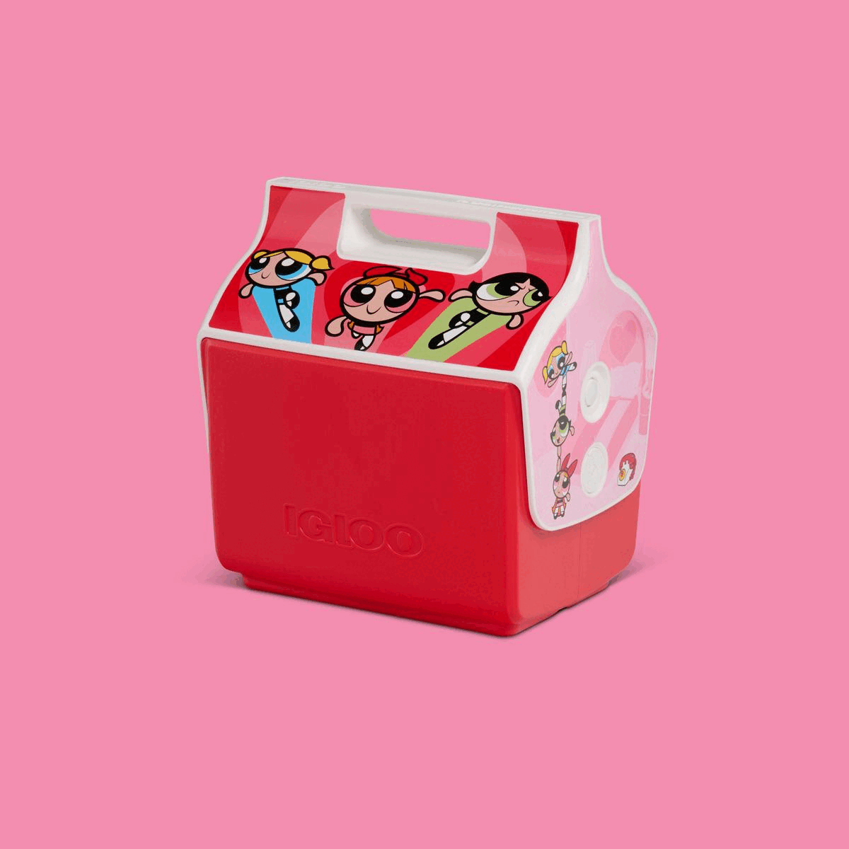 New Powerpuff Girls Playmate on International Women’s Day!💪💥 Igloo
