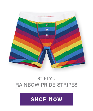 6in Fly Boxer Briefs - Rainbow Pride Stripes
