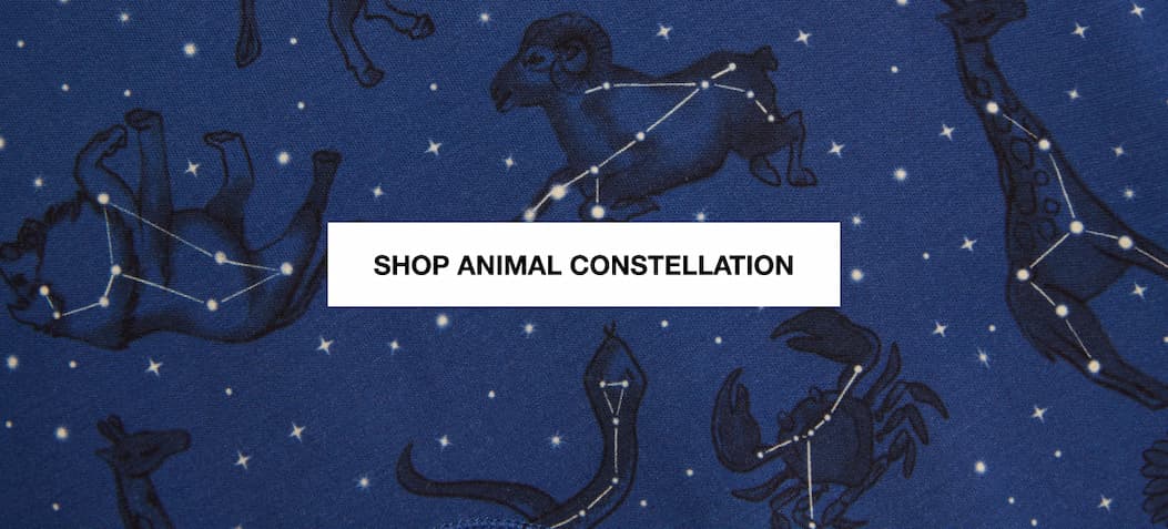 Shop Animal Constellation